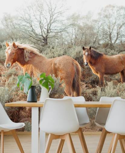 fond d'écran chevaux au gingembre dans l'habitat sauvage