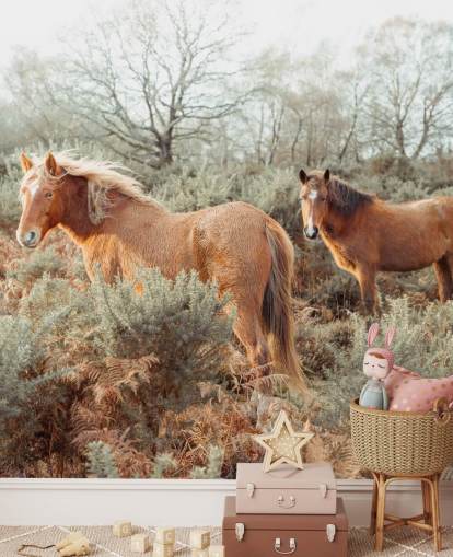 ginger horses in wild habitat wallpaper ginger horses in wild habitat wallpaper
