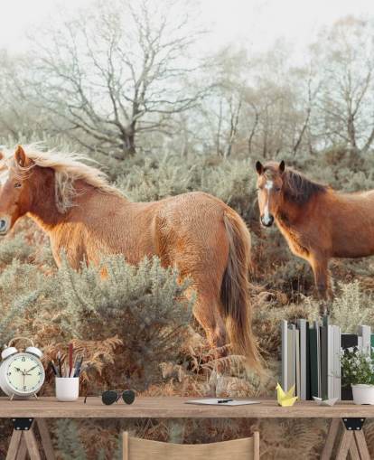 fond d'écran chevaux au gingembre dans l'habitat sauvage
