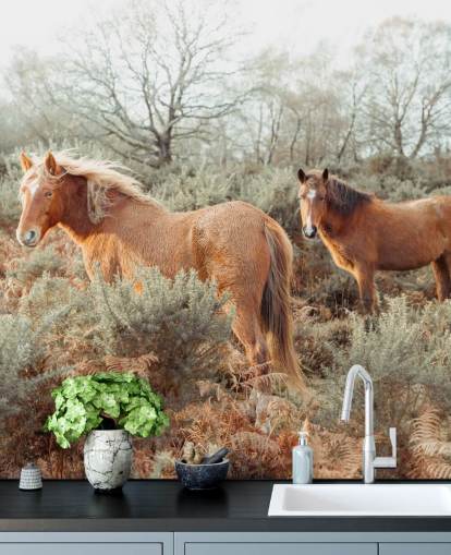 gemberpaarden in wilde habitat behang