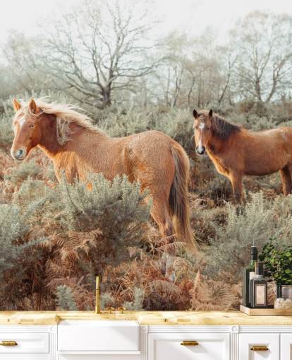 ginger horses in wild habitat wallpaper