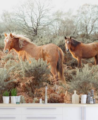 ginger horses in wild habitat wallpaper