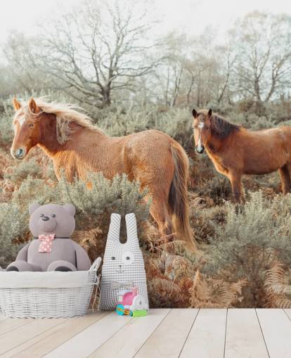 ginger horses in wild habitat wallpaper ginger horses in wild habitat wallpaper