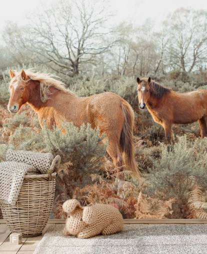 ginger horses in wild habitat wallpaper
