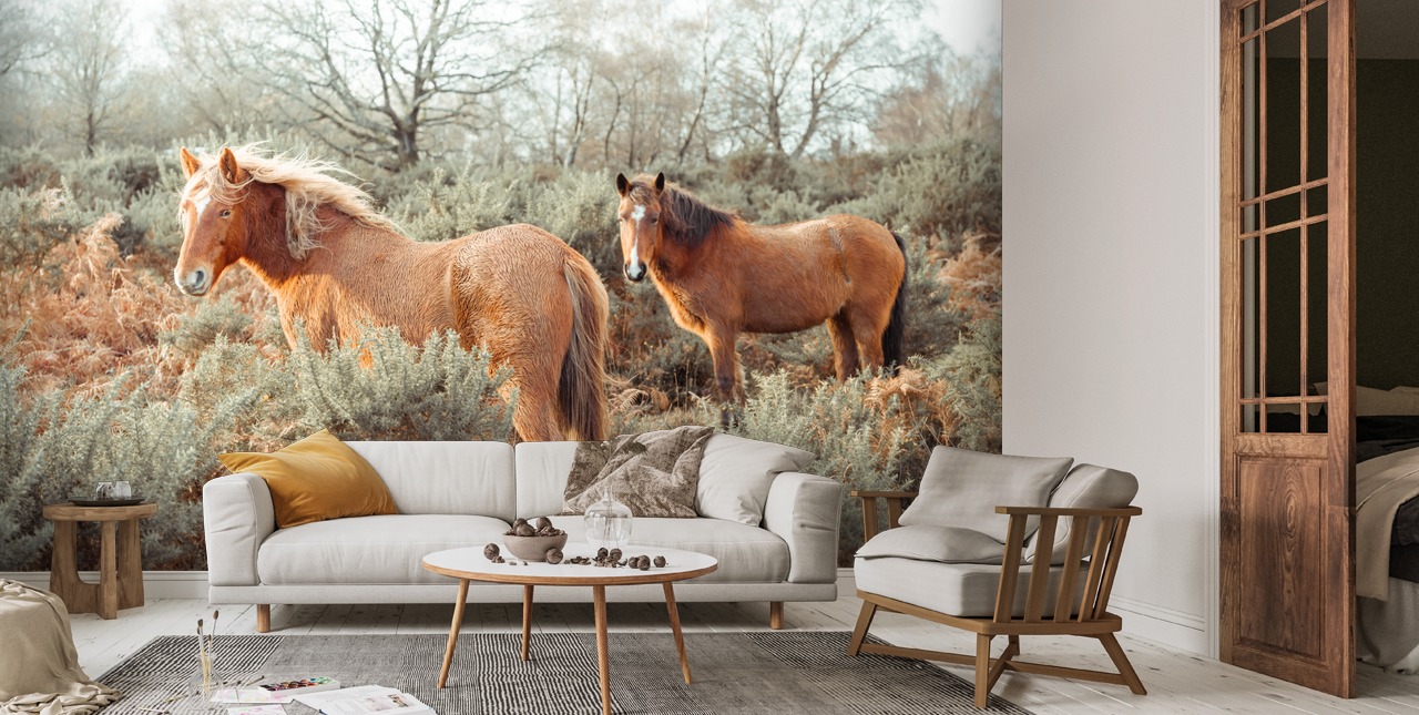 Horses Wallpaper | Wallsauce US