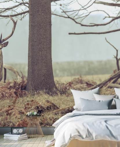 Stag in The Forest Stag in The Forest