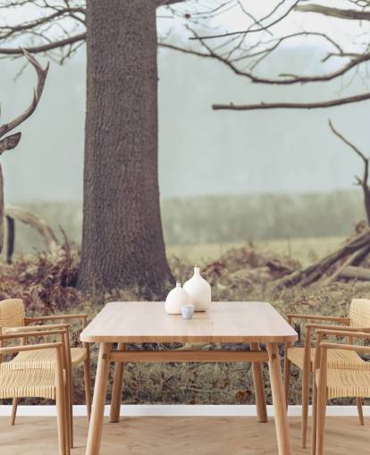 Hert in het bos Hert in het bos