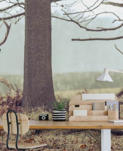 Stag in The Forest Stag in The Forest