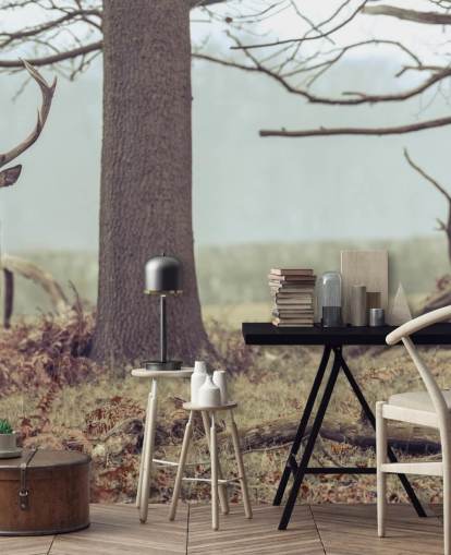 Stag in The Forest Stag in The Forest