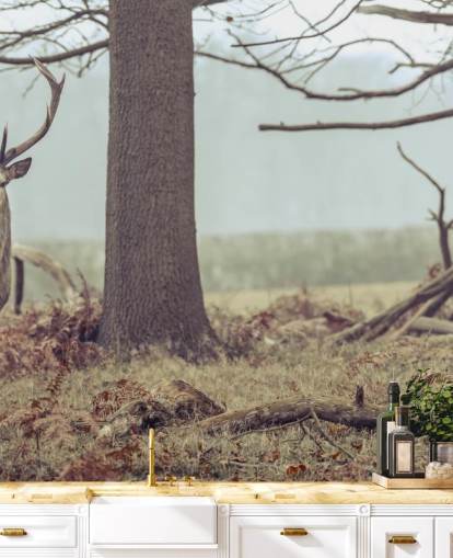 Stag in The Forest
