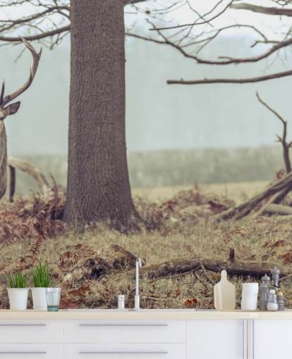 Hirsch im Wald Hirsch im Wald