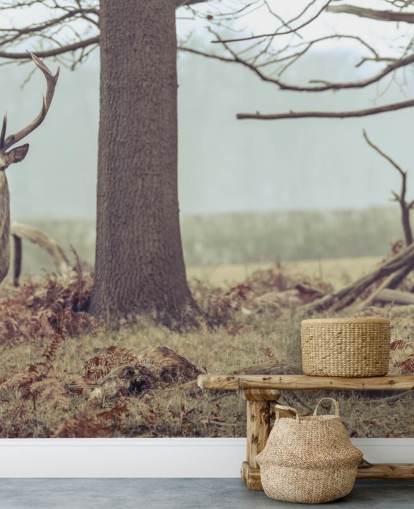 Stag in The Forest Stag in The Forest