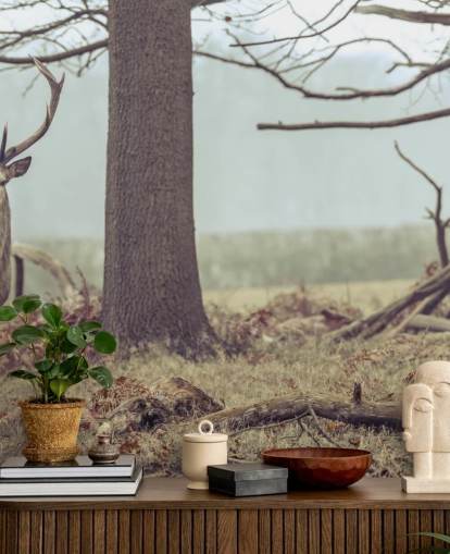 Stag in The Forest Stag in The Forest