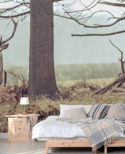 Cerf dans la forêt Cerf dans la forêt