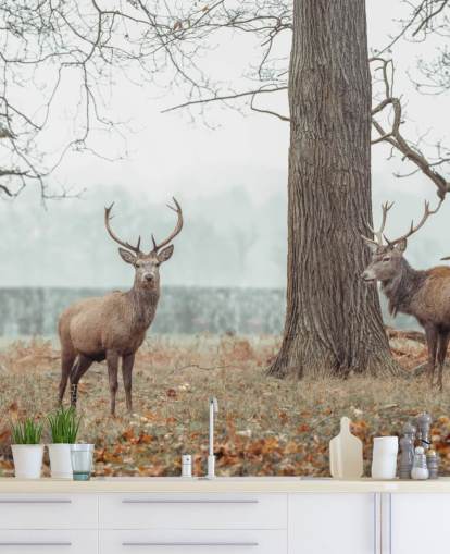 Herd in the Landscape Herd in the Landscape