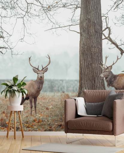 Rebaño en el paisaje