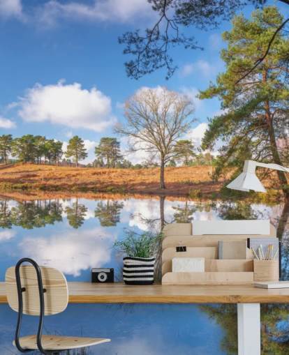 trees reflecting landscape wallpaper