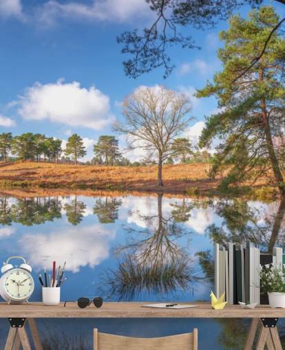 trees reflecting landscape wallpaper trees reflecting landscape wallpaper