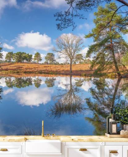 trees reflecting landscape wallpaper