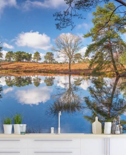 trees reflecting landscape wallpaper