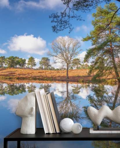 trees reflecting landscape wallpaper