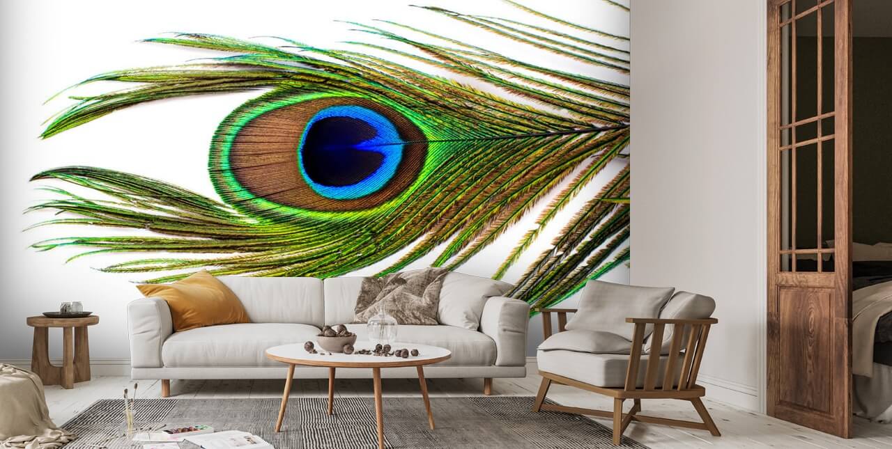 Peacock Feather Eye Wall Mural
