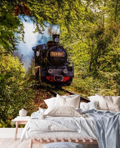 stoomtrein die door bosbehang gaat stoomtrein die door bosbehang gaat