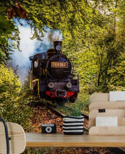 stoomtrein die door bosbehang gaat