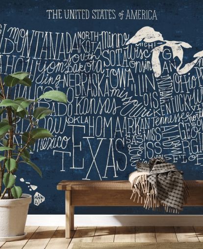 carta da parati mappa usa blu scuro