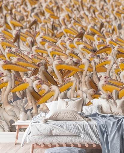 white and yellow pelicans wallpaper white and yellow pelicans wallpaper