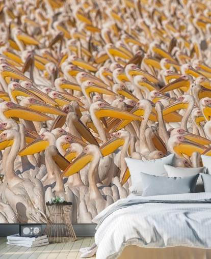 white and yellow pelicans wallpaper