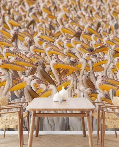papel pintado pelícanos blancos y amarillos papel pintado pelícanos blancos y amarillos