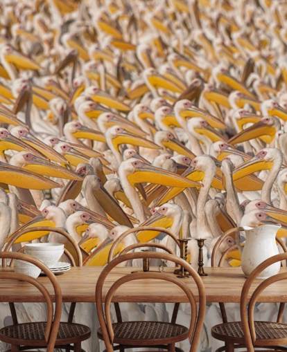 papel de parede pelicanos brancos e amarelos