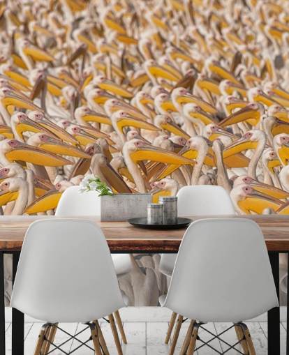 white and yellow pelicans wallpaper