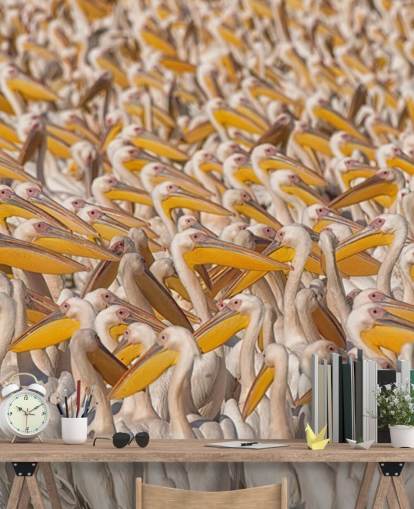 white and yellow pelicans wallpaper