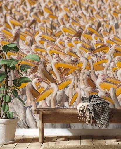 white and yellow pelicans wallpaper