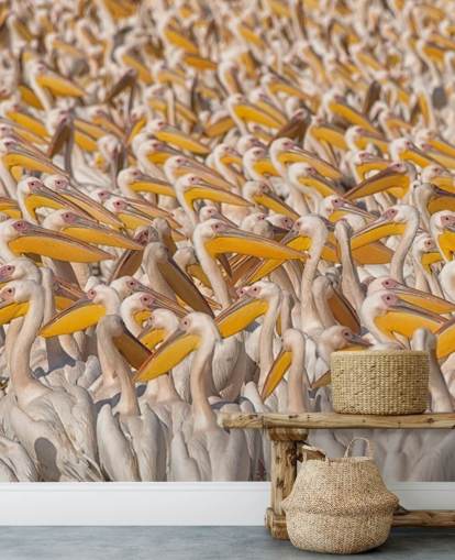 white and yellow pelicans wallpaper