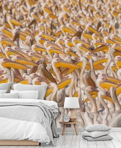 valkoinen ja keltainen pelicans tapetti valkoinen ja keltainen pelicans tapetti