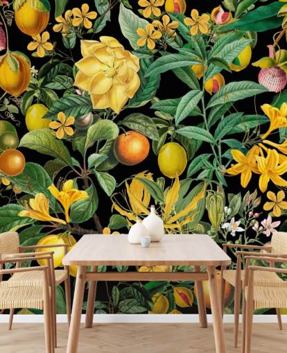 fruits jaunes et oranges sur fond noir papier peint fruits jaunes et oranges sur fond noir papier peint