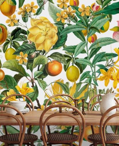 mural de papel pintado de cocina de limón y naranja de Andrea Haase para cocinas, vestíbulos y cafeterías