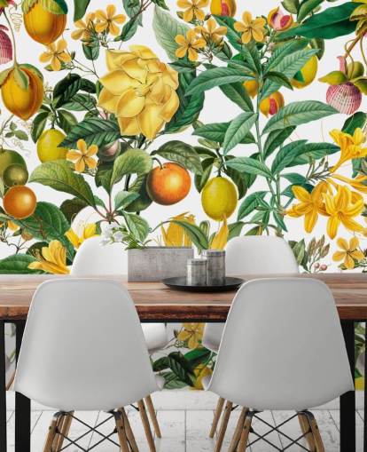 carta da parati murale da cucina con limone e arancia di Andrea Haase per cucine, mudroom e caffè