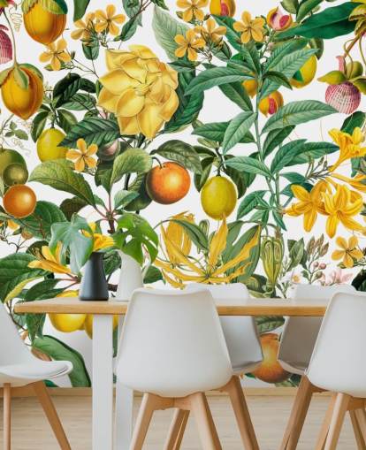 mural de papel de parede de cozinha com limão e laranja de Andrea Haase para cozinhas, lavabos e cafés mural de papel de parede de cozinha com limão e laranja de Andrea Haase para cozinhas, lavabos e cafés