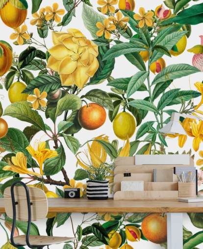 carta da parati murale da cucina con limone e arancia di Andrea Haase per cucine, mudroom e caffè carta da parati murale da cucina con limone e arancia di Andrea Haase per cucine, mudroom e caffè