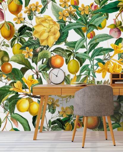 mural de papel pintado de cocina de limón y naranja de Andrea Haase para cocinas, vestíbulos y cafeterías
