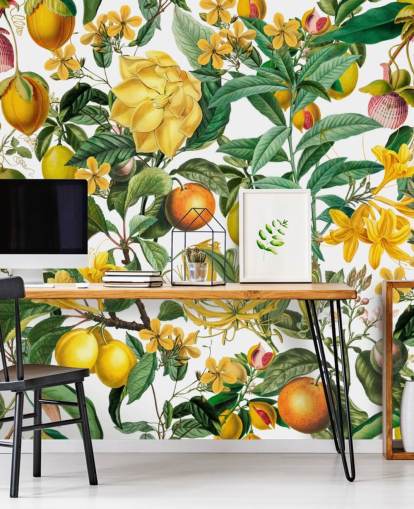 mural de papel pintado de cocina de limón y naranja de Andrea Haase para cocinas, vestíbulos y cafeterías