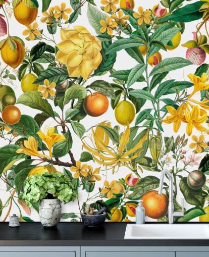 citron og orange køkken tapet vægmaleri af Andrea Haase til køkkener, mudderrum og caféer