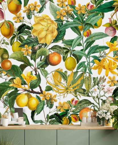 carta da parati murale da cucina con limone e arancia di Andrea Haase per cucine, mudroom e caffè