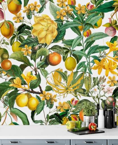 carta da parati murale da cucina con limone e arancia di Andrea Haase per cucine, mudroom e caffè