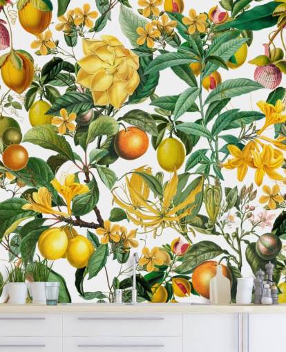 mural de papel pintado de cocina de limón y naranja de Andrea Haase para cocinas, vestíbulos y cafeterías mural de papel pintado de cocina de limón y naranja de Andrea Haase para cocinas, vestíbulos y cafeterías