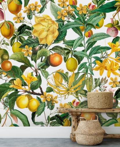 mural de papel pintado de cocina de limón y naranja de Andrea Haase para cocinas, vestíbulos y cafeterías